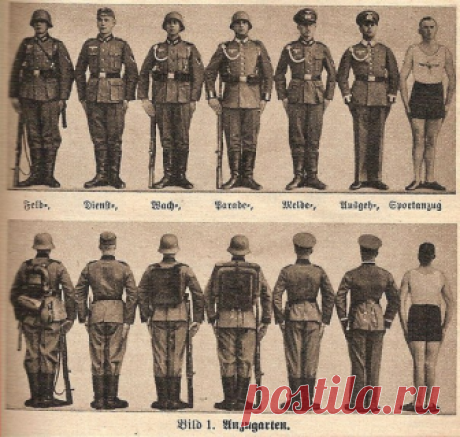 Германская униформа периода Третьего Рейха.

Формы одежды:

«Полевая» - поясной ремень с подсумками, полевой китель (Feldbluse), котелок, сухарка, фляга, противогаз в футляре, ипритка, шлем, сапоги, лопатка, штык.

«Служебная» (повседневная) – полевой китель, сапоги, поясной ремень, штык, пилотка.

«Караульная» - полевой китель с аксельбантом, поясной ремень с подсумками, штык, сапоги, шлем, ранец.

«Парадная» - парадный мундир (Waffenrock) с аксельбантом, сапоги, поясной ...