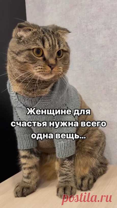 Семья и дети 👨👩👧👦