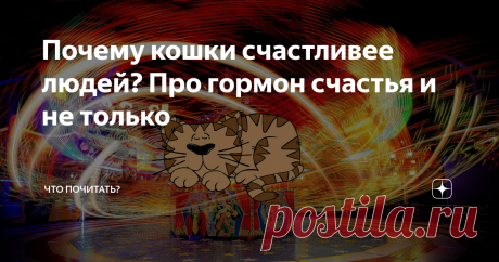 Почему кошки счастливее людей? Про гормон счастья и не только Гормоны счастья, продуцируемые мозгом, мы получили в наследство от своих предков – млекопитающих. Вырабатываются эти химические вещества не беспрерывно, а по определенной необходимости. Например, в качестве награды за совершение действия способствующего выживанию. Вы в курсе, что гормон счастья не одно вещество, а несколько? Эндорфин, дофамин, окситоцин, серотонин вместе вызывают то эмоциональное