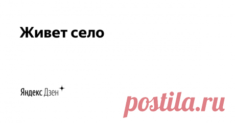 Живет село | Яндекс Дзен  Канал ведет Светлана Шабалдина - пенсинерка, деревенщина с Алтая. Мой канал о жизни в селе, обо всем, что волнует и интересует сельскую пенсионерку: сад-огород, рецепты, мои размышления о жизни, житейские истории.  Присылайте свои истории - опубликую на канале)