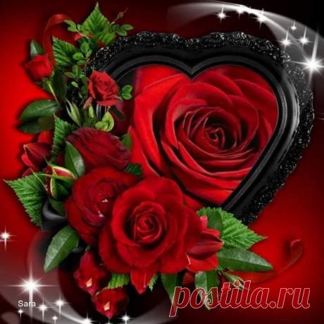 (34) 💋💋💋 LOVELY ROSE 💋💋💋