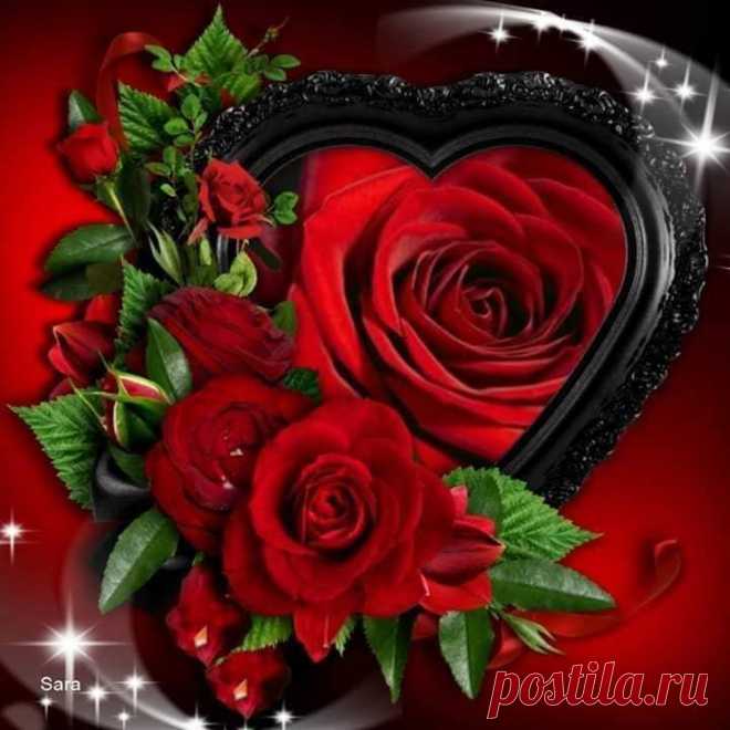 (34) 💋💋💋 LOVELY ROSE 💋💋💋
