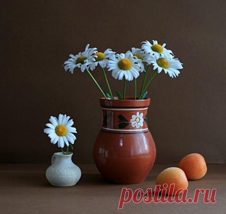 ♥ღ♥Белые ромашки! Как вас не любить!♥ღ♥.