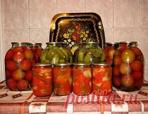 Простые и вкусные рецепты консервирования овощей - Овощи на зиму . 1001 ЕДА вкусные рецепты с фото!