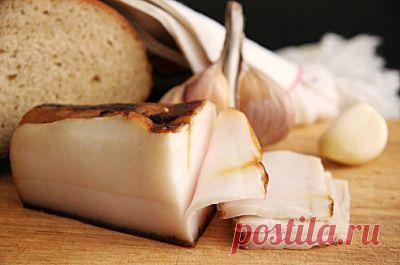 Что такое осень — это Сало!.. — Всегда в форме!