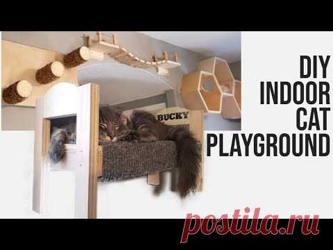 Ultimate DIY Indoor Cat Playground You Can't Miss