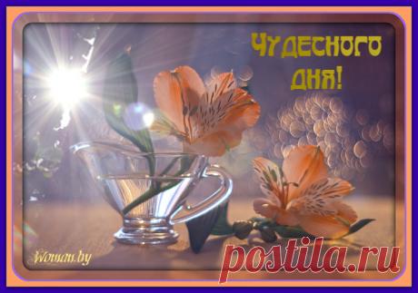 Чудесного дня!