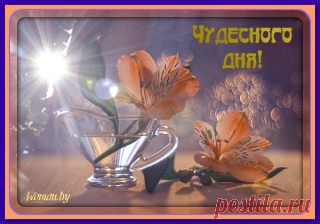 Чудесного дня!