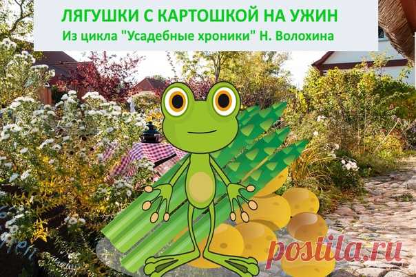 Лягушки с картошкой на ужин
Пёс обижался. Буквально вчера он был отруган, отшлепан и посажен на цепь за то, чем мы сегодня невозбранно, нагло занимались у него на глазах. Обо всём по порядку.
Намедни этот гад изорвал спанбонд на грядке с клубникой, перекопал её, изувечив кустики драгоценных ягод. За что и огрёб.
Показать полностью...