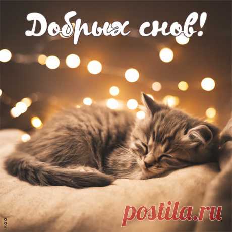 Ночи доброй,
Подушки удобной,
Кровати мягкой
И снов самых сладких!