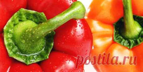 Перцы в сладком маринаде: необычная и очень вкусная закуска на зиму — родные будут довольны Такая заготовка с маринованным перцем мало кого оставит равнодушным. Летом непременно стоит приготовить такое блюдо, чтобы зимой наслаждаться вкусом любимого овоща.