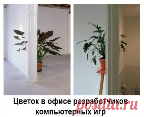 SmmBox - поиск контента