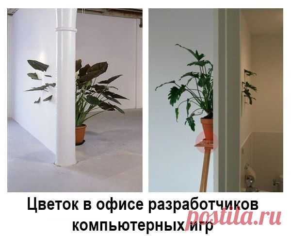 SmmBox - поиск контента