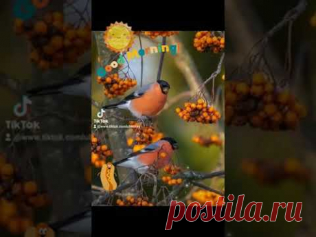 ДОБРОЕ УТРО ПЯТНИЦЫ ! Еще не хочется зимы, еще пока я верю в осень ! ... #доброеутро