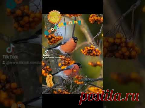 ДОБРОЕ УТРО ПЯТНИЦЫ ! Еще не хочется зимы, еще пока я верю в осень ! ... #доброеутро