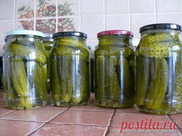 Маринованные огурцы по-венгерски • Консервирование