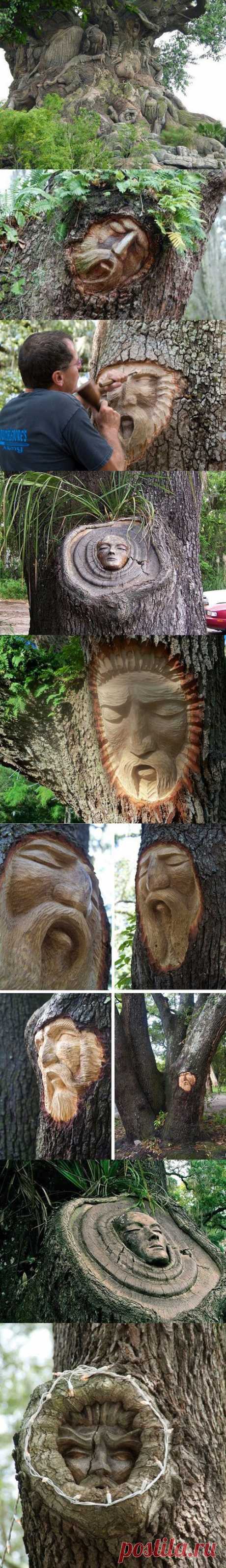 Found on themetapicture.com
