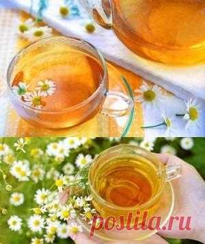 Как приготовить чай с ромашкой правильно
