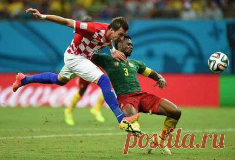 Камерун разгромно проиграл Хорватии — Рамблер-Новости