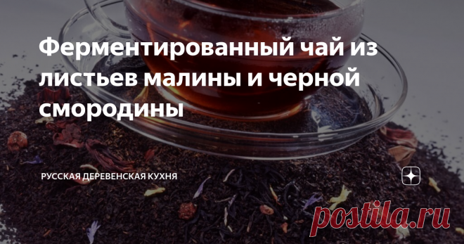 Ферментированный чай из листьев малины и черной смородины Ферментация – особый способ обработки  листьев, позволяющий получить высушенное сырье, обладающее более  насыщенным вкусом, цветом и ароматом по сравнению со свежесобранными  растениями или высушенными простыми методами – на ветру или жаре. При  ферментации нерастворимые вещества тканей растения переводятся в   растворимые формы и легко усваиваются организмом.
Для начала ферментации необходимо
