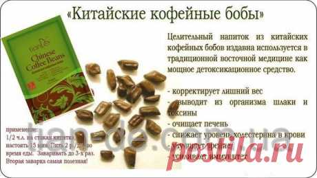 Биологически активная добавка «Китайские кофейные бобы» купить за 10 грн в Запорожье - TianDe