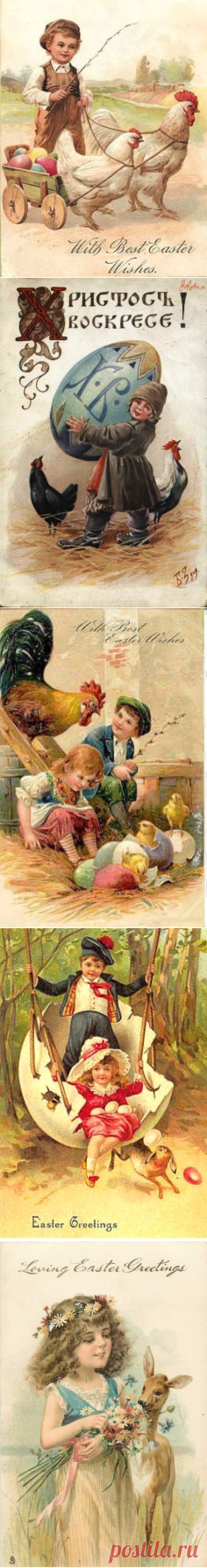 (1) Pinterest