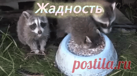 Сага о ремонте | Городок