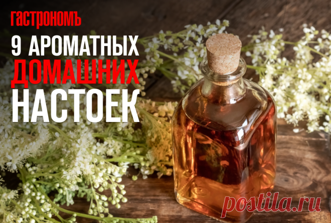 9 ароматных домашних настоек: приготовить сможет любой, а выпить будут готовы все | ГАСТРОНОМ.РУ | Дзен