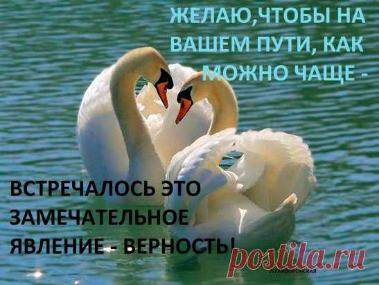 4 непрочитанных чата