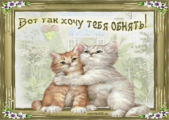 плейкасты кошки: 19 тыс изображений найдено в Яндекс.Картинках