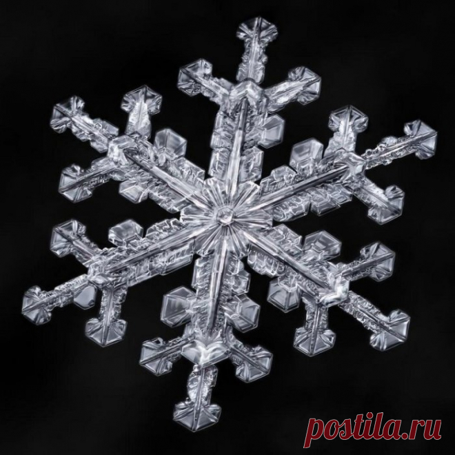 Снежинки под микроскопом: 14 великолепных зимних макрофотографий