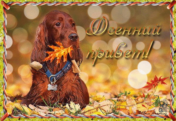 Мой Мир@Mail.Ru