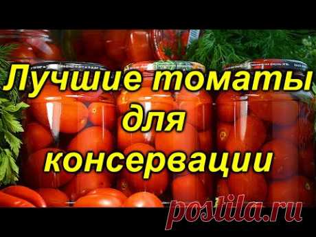 5 лучших сортов томатов для "баночки" на консервацию!