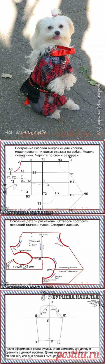 Мастер-класс: Построение базовой выкройки для моделирования и шитья одежды для собак