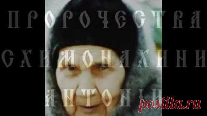 ПРОРОЧЕСТВА СХИМОНАХИНИ АНТОНИИ