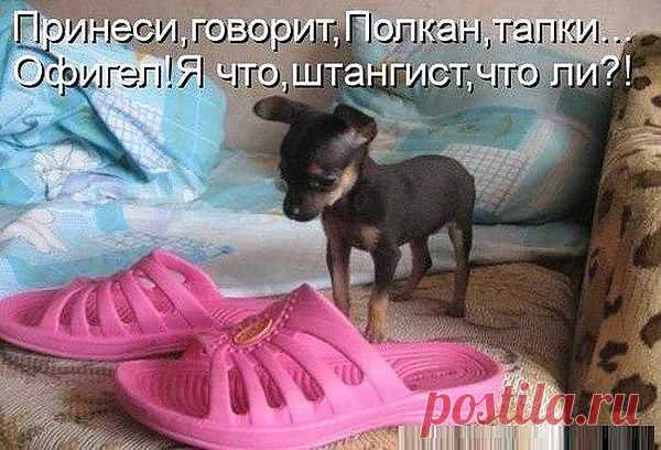 Группа: Смех до слез!