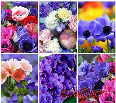 ❁⁀ ♥ ⁀✿ ✫ℒℴνℯ✫ ❁⁀ ♥ ⁀✿