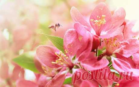 Гороскоп Василисы Володиной на май 2018 по знакам зодиака