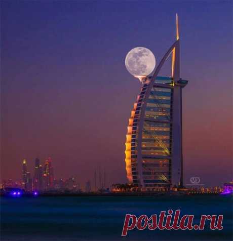 18-fotografij-kotorye-pridetsya-peresmotret-chtoby-ponyat_1679091c5a880faf6fb5e6087eb1b2dc.jpg (650×673)