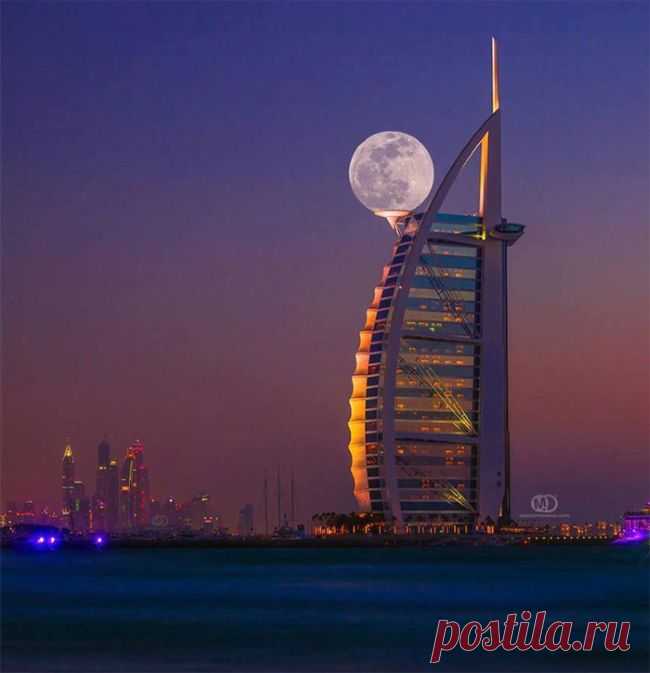 18-fotografij-kotorye-pridetsya-peresmotret-chtoby-ponyat_1679091c5a880faf6fb5e6087eb1b2dc.jpg (650×673)