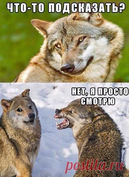 Я просто смотрю