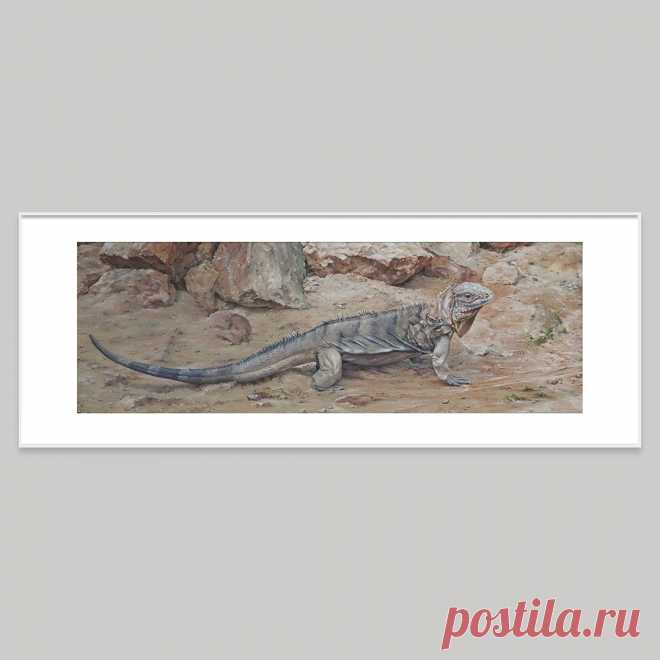 Игуана - Фрилансер Elena LKSTUDIOART lk_design - Портфолио - Работа #3656728
