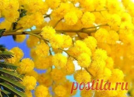 Мой Мир@Mail.Ru