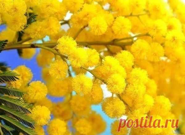 Мой Мир@Mail.Ru