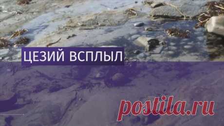 Новый источник радиации нашли вблизи Фукусимы Новый источник радиации нашли вблизи Фукусимы. В районе атомной станции обнаружили большое количество цезия-137. Загрязнены грунтовые воды и пляжи в радиусе 100 км. Уровень радиоактивности песка оказался в десять раз выше, чем в воде бухты. Цезия вокруг Фукусимы столько же, сколько во всем мировом океане.