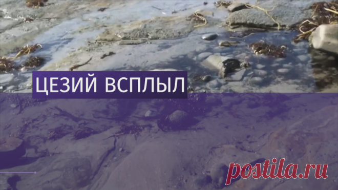 Новый источник радиации нашли вблизи Фукусимы Новый источник радиации нашли вблизи Фукусимы. В районе атомной станции обнаружили большое количество цезия-137. Загрязнены грунтовые воды и пляжи в радиусе 100 км. Уровень радиоактивности песка оказался в десять раз выше, чем в воде бухты. Цезия вокруг Фукусимы столько же, сколько во всем мировом океане.