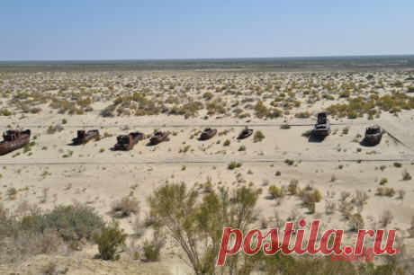 Климатолог Кокорин предрек волну климатических мигрантов на север. Также он напомнил, что под боком у России находится Центральная Азия, где проблема засух будет только усиливаться.