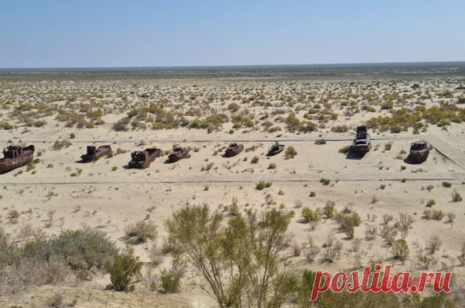 Климатолог Кокорин предрек волну климатических мигрантов на север. Также он напомнил, что под боком у России находится Центральная Азия, где проблема засух будет только усиливаться.