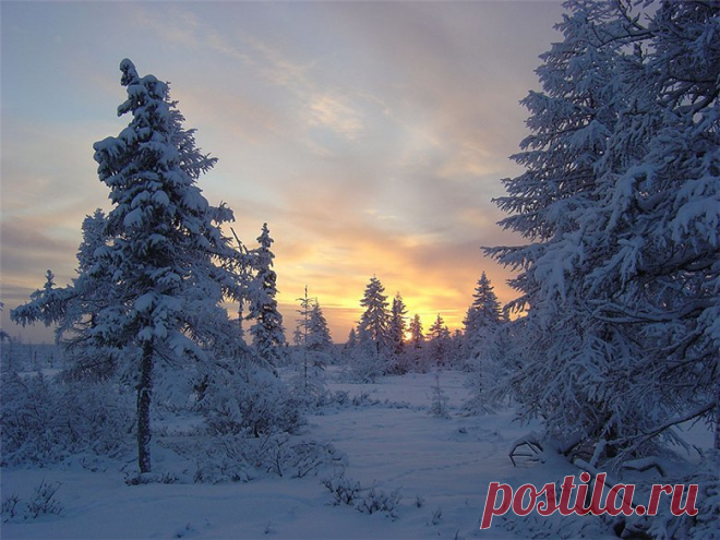 b-26305.jpg (780×585)