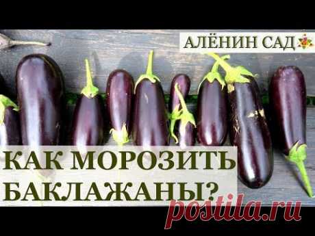 ПРАВИЛЬНАЯ заморозка баклажанов / Заготовки на зиму